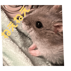 Akari_20260330182902