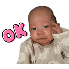 kidskoto""_20260331040739