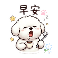 麻糬比熊女孩