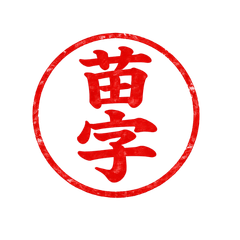 Surname Hanko Stamp 8 Names