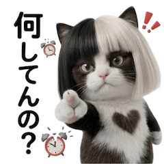 Fashionable hairstyle kitty (JP)