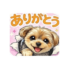 KANA_20260331064354