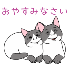 PAKAMOGOLY_20260331095052