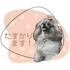 MICKS_20260331100346