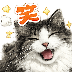 Theo the Clingy Cat Sticker Pack2
