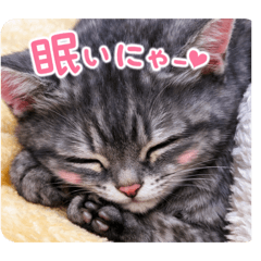 kimimr_2026033019503