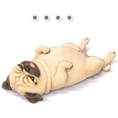 Haru & Latte_20260331003152