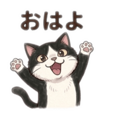 Torakichi_20260331003331