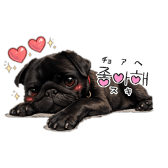 chiaki_20260331081733