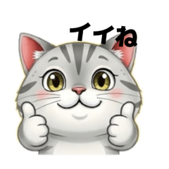 Cute Cat Stickers Daily Messages