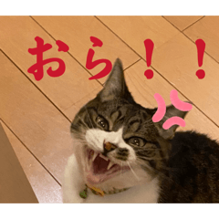 minayou_20260330231439