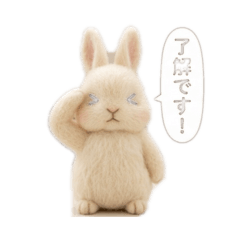 kota1109_20260330224816