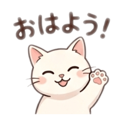 TASHI_20260330230958