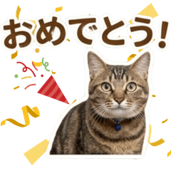 Lala the Tabby Cat Stickers