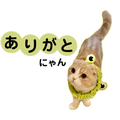 magnet_20260330231012