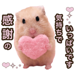 momichan_yuki_20260331094558