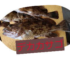 tabuchihiroaki_20260330205720