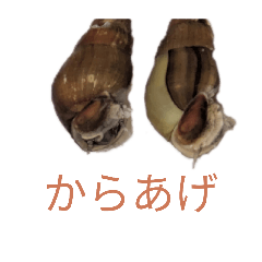 Kawanina&Ebita_20260328012446