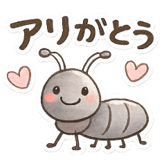 NoriTomo_20260330131034