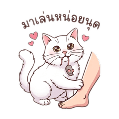 Surawit.N_20260330212529