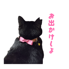 Himeka_20260330212055