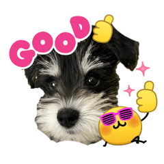 fujimori_20260330213016