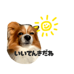 ea20041008_20260330213657