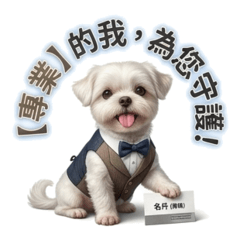 小不點的業務日常