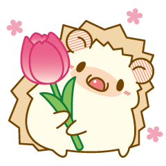 Hedgehog Harry family (spring)