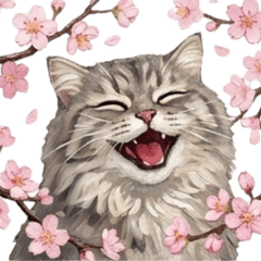 Fluffy Munchkin: Emotional Cat's Life4