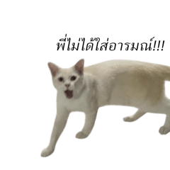 Jahh_20260330233004