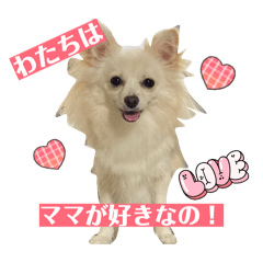 MASUMI_20260331091737