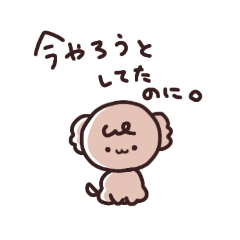 sibacia_20260331090936