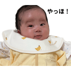 koiro_20260328015858