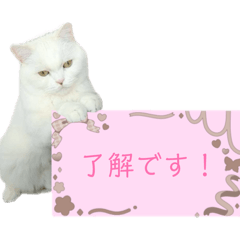 Cristiano_20260330220332