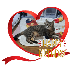 yamaharu_20260330215928