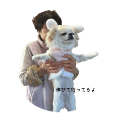 mkk_20260330220541