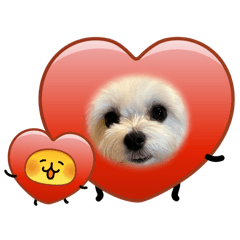 yukiko_20260330221359