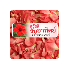 teddy bear's girl_20260331023128