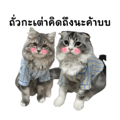 Nunny_20260331045640