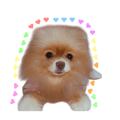 NUIINUII_20260331020413