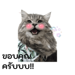 Nunny_20260331061318