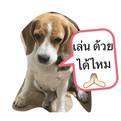 Milkshake and Blueberry_20260331082120