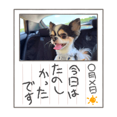 papico_20260331094449