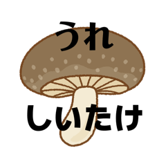 shoutyandayo_20260331113844619676