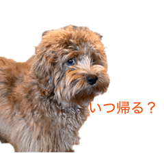 Muchioco_20260331113647