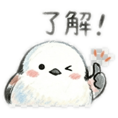 NaNachi_20260331113442