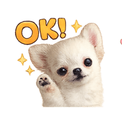 A1124_20260331114830