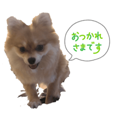 NAMAPON_20260330221042