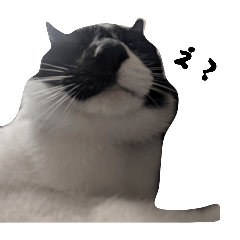 Marimo_20260330234618